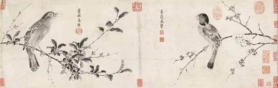 【北宋】 趙佶 寫生珍禽圖卷 （局部）