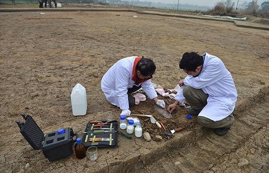 廣漢三星堆遺址發掘現場，考古人員對文物出土部分進行清洗加固處理。