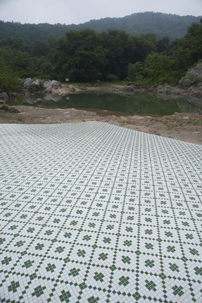 王衛，山中自然史四，地面馬賽克，2016
