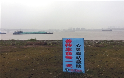 11月20日，南京。長江岸邊，一塊藍色的標牌上寫著陳思的電話號碼。A16-A17版攝影/新京報記者 王佳慧