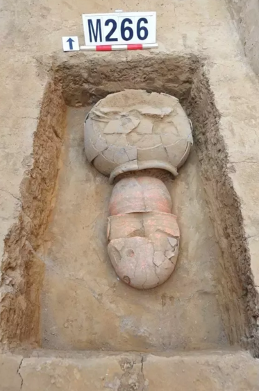 戰國兒童甕棺墓
