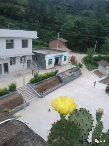 男子貼公告拒參加酒席:當地辦一次酒席能賺半套房