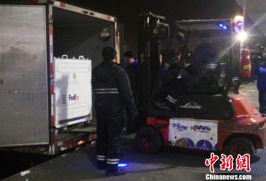 大熊貓“寶寶”被送進轉運車上。　王季思 攝