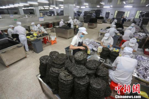 晉江阿一波壇紫菜生產(chǎn)車間一角。　李志江 攝