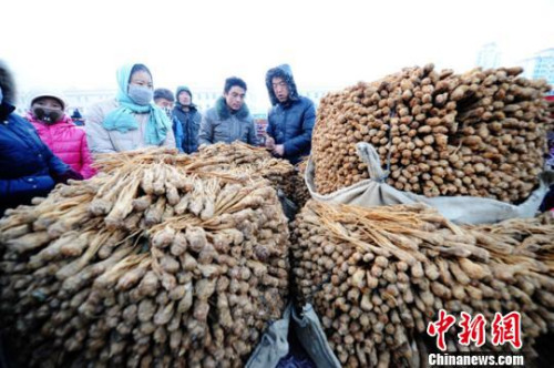 資料圖：甘肅岷縣中國當歸城內中藥材交易場景。楊艷敏 攝