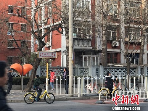 在北京街頭，孩子使用共享單車，無監(jiān)護(hù)人跟隨。湯琪 攝