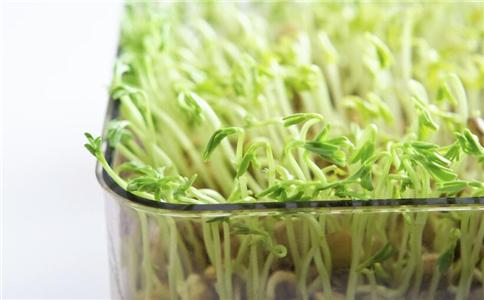 開春如何護肝 護肝吃什么 哪些食物能護肝