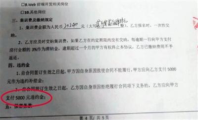 王小姐與卓新智趣簽訂的集訓協議，中途退學違約金為5000元。