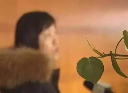 無奈之下文女士將情況反映到建鄴區市場監督管理局，一線隊員當天下午便來這家名世造型美容店進行檢查并了解情況。