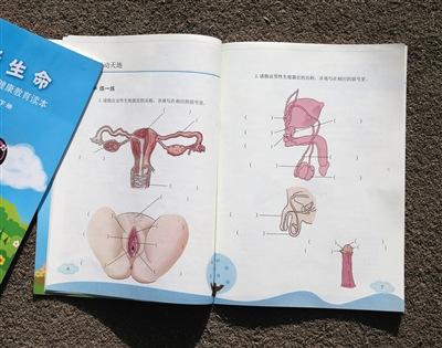 小學性教材真的會嚇到孩子嗎？學生：小題大做