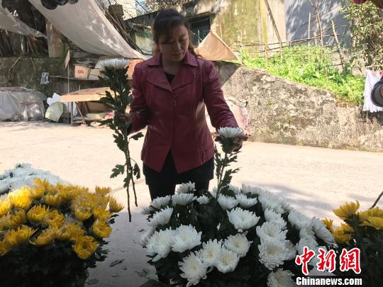 圖為市民挑選鮮花為祭掃做準(zhǔn)備?！＄婌?攝