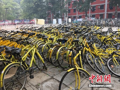 資料圖。北京某所高校內的共享單車數量驚人。<a target='_blank' href='http://www.chinanews.com/' >中新網</a> 吳濤 攝