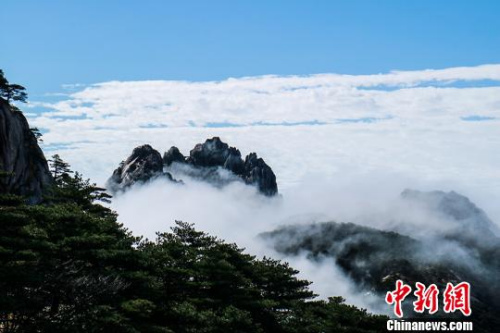  9日，安徽黃山風景區經過昨夜雷雨天氣的洗禮，云海、佛光等壯麗風景展現在游客們的眼前。　李金剛 攝