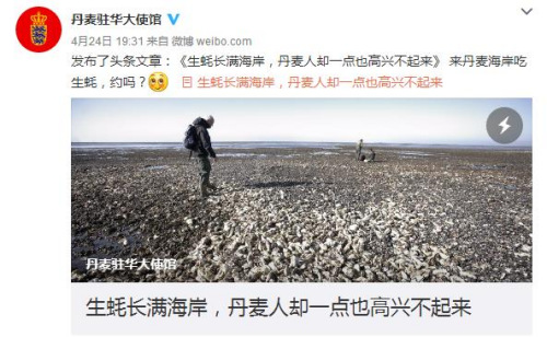 日前，丹麥駐華大使館因本國生蠔泛濫成災，特發文求助網友。圖為網絡截圖