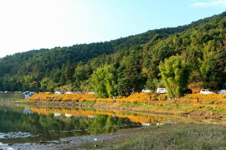 廣東森林公園1351個全國最多