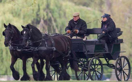 畫畫攝影駕駛馬車 菲利普親王“退休”后日程滿滿