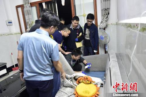 南京破獲特大網(wǎng)絡(luò)傳播淫穢案：查扣2萬多部色情視頻，付費觀眾數(shù)千人。　國武 攝