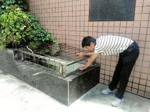 母親棋牌室打麻將 1歲多兒子不慎翻入水池內溺亡