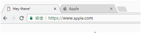 地址欄的顯示是apple.com，肉眼根本無法識別出這是假冒產品。只有將真假網址對比來看，才能發現假網址的字母(使用西里爾語里的a，比英文的a看起來略小)