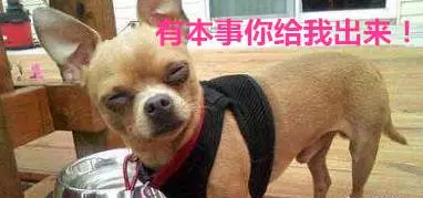 男子不滿前女友將結婚 每晚到對方家蹲點播放哀樂