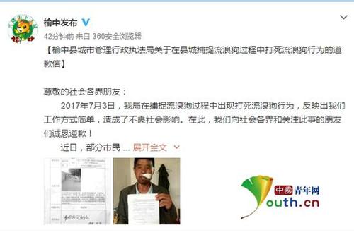 蘭州大量流浪狗被棒殺 城管道歉并稱以后依規(guī)捕捉