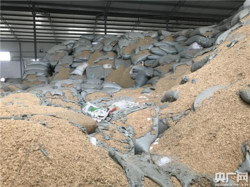 記者在萬寶12號13號倉發(fā)現(xiàn)存在不同品類不同性質的混裝現(xiàn)象