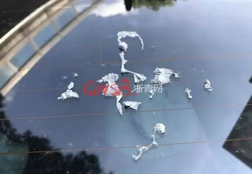 停車難！女子小區停車被保安貼單子大罵：不要臉