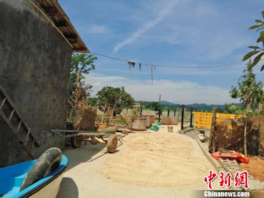除部分樹枝和電線上還殘留著洪水中的雜物外，壩塘鎮的災后垃圾已基本清理完畢。　王昊昊 攝