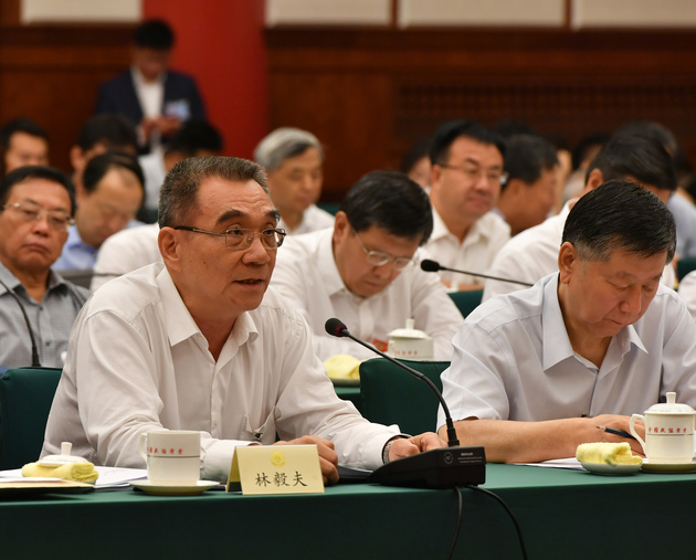 林毅夫：保證民營經濟公平參與市場競爭