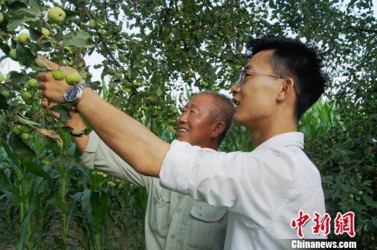 到2016年10月底，梁磊公司已累計(jì)向貧困戶果農(nóng)收購海紅果2700噸。　王斌田 攝