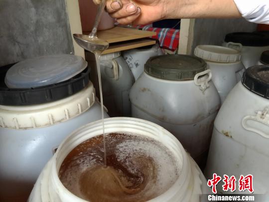 圖為蜂農(nóng)李虎云查看家中儲(chǔ)藏的一桶桶蜂蜜。　韓章云 攝