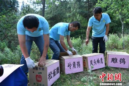 資料圖：云南省野生動物收容拯救中心工作人員準備放歸野生動物?！∪螙| 攝