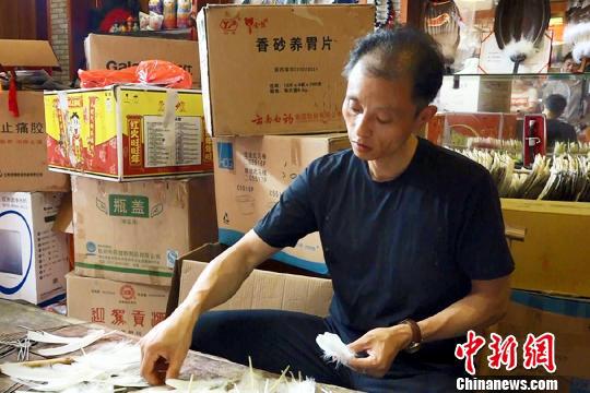     三河羽扇非遺技藝傳承人丁政權(quán)在制作羽扇。　鐘欣　攝