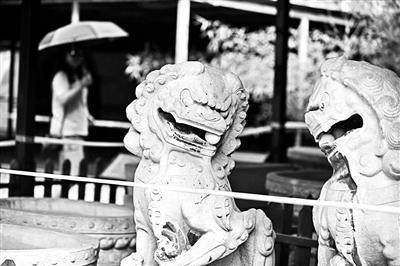 北京青年報記者昨日在圓明園流散文物展上看到，左側的石獅子口中僅剩一顆石球 
