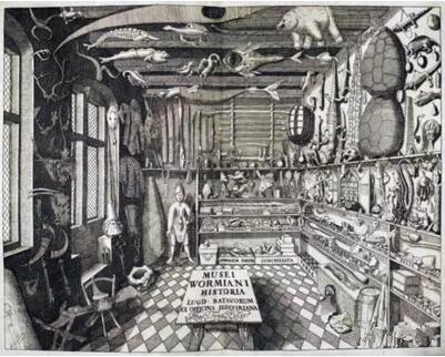 Herman Middendorp, 《Ole Worm的藝術房》，Musei Wormiani Historia, 1655年