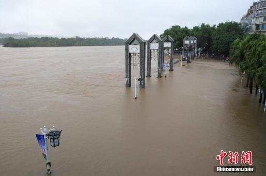 受新一輪連續(xù)強降雨影響，8月15日2時10分，漓江桂林水文站出現(xiàn)147.51米洪峰水位，超警戒水位1.51米，為今年最大洪水。當(dāng)天漓江旅游船舶、排筏全線封航。 趙琳露 攝
