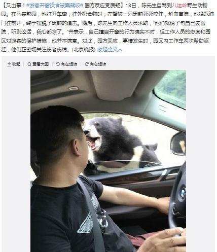 8月18日，一名陳姓男子在八達嶺野生動物園游玩違規開窗遭熊咬。微博截圖