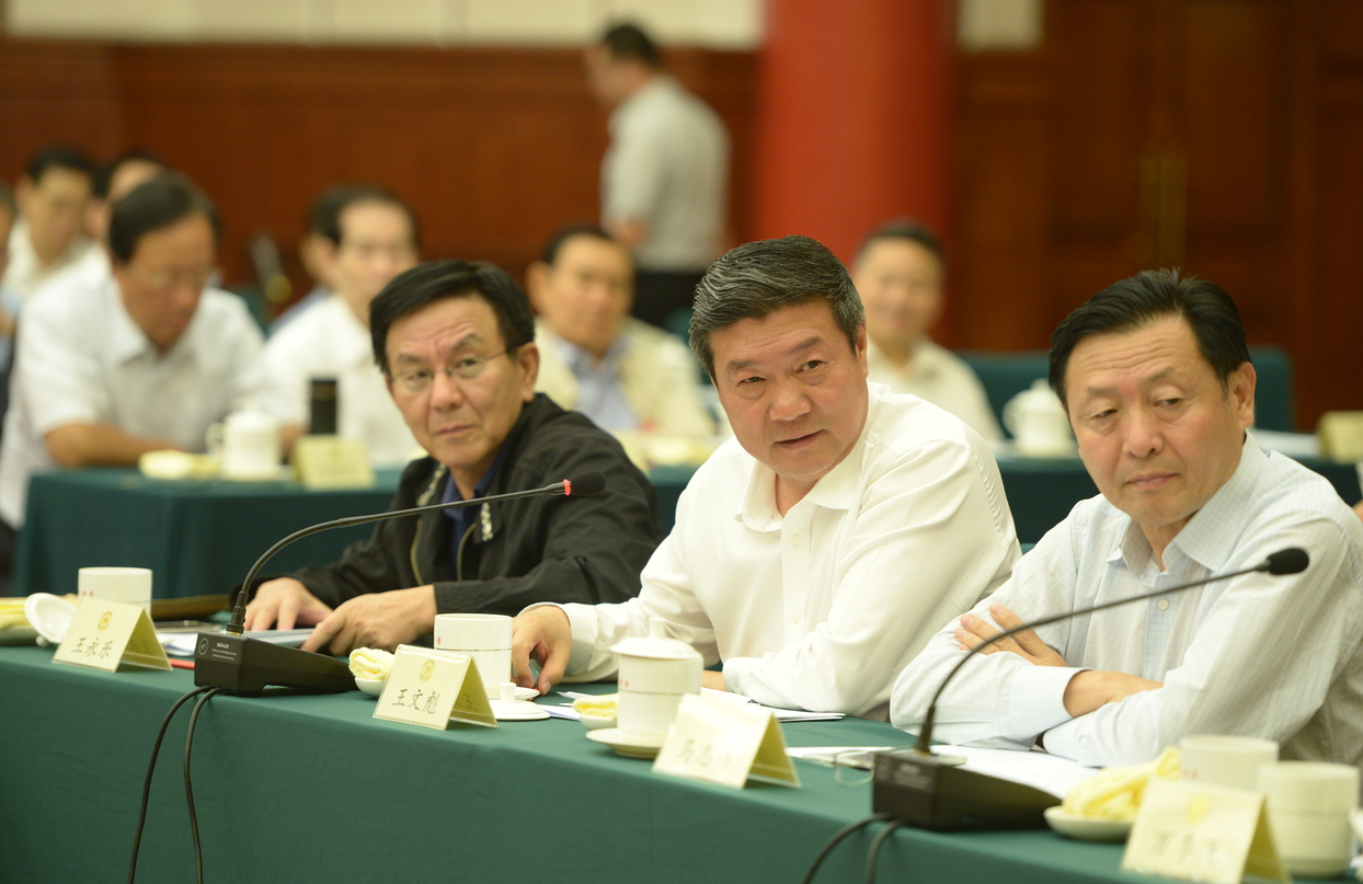 全國政協常委在專題討論會上發王文彪言