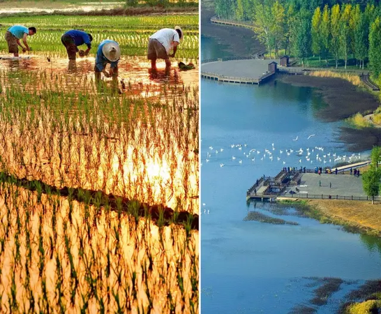 黃河變清調查:每年泥沙減少7億噸 大洪水幾率增加