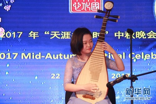 中國駐尼日利亞使館工作人員表演琵琶獨(dú)奏。新華網(wǎng)發(fā)