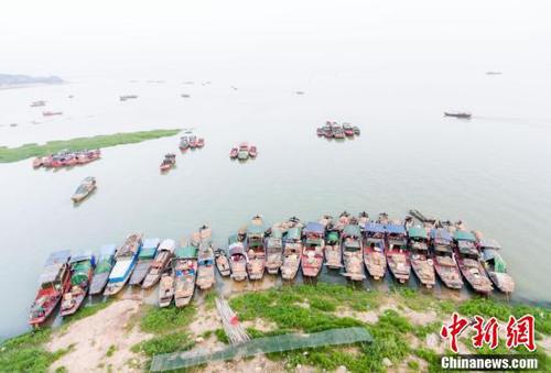 鄱陽湖5日起現今年首次長江水倒灌 利于漁業恢復