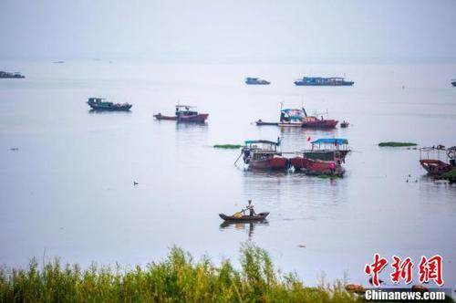 鄱陽湖5日起現今年首次長江水倒灌 利于漁業恢復