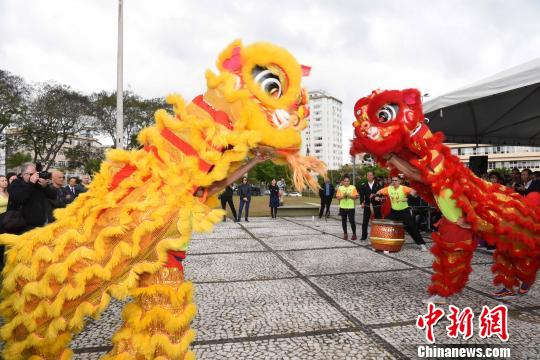 圖為圣保羅華星藝術(shù)團表演精彩的舞獅，慶祝“中國廣場”和孔子雕像揭幕?！∧尚?攝
