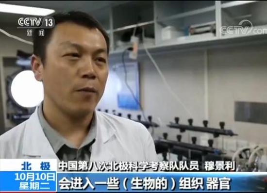 中國第八次北極科考完成 隊員講述防北極熊經歷