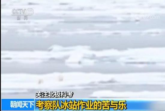 中國第八次北極科考完成 隊員講述防北極熊經歷