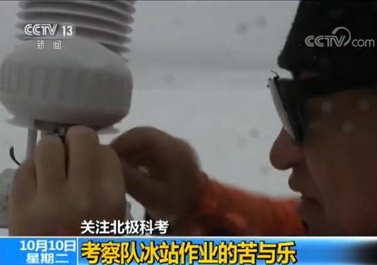 中國第八次北極科考完成 隊員講述防北極熊經歷