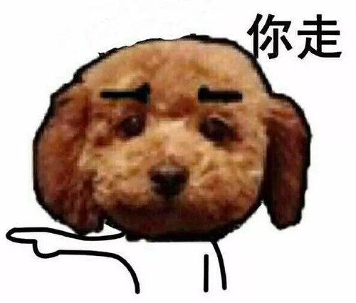 女子泰迪犬被準(zhǔn)公婆弄丟：找不回來堅(jiān)決不結(jié)婚