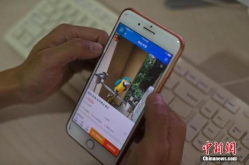 資料圖：淘寶店主使用手機瀏覽自己的淘寶店鋪。<a target='_blank' href='http://www.chinanews.com/'>中新社</a>記者 劉關關 攝
