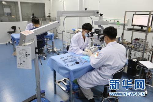 點擊進(jìn)入下一頁