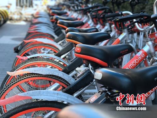 資料圖：清一色的摩拜單車。<a target='_blank' href='http://www.chinanews.com/' >中新網(wǎng)</a> 吳濤 攝